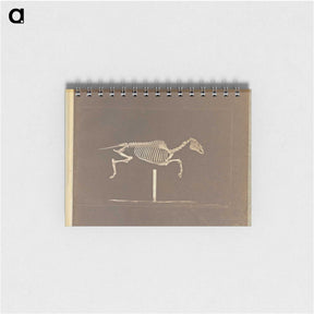 3-25_Eadweard-Muybridge_memo