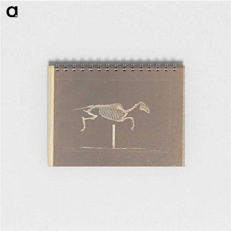 3-25_Eadweard-Muybridge_memo