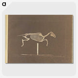 3-25_Eadweard-Muybridge_picture-crop
