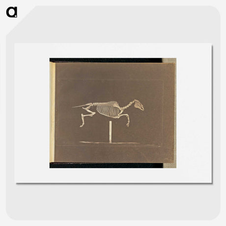 3-25_Eadweard-Muybridge_picture