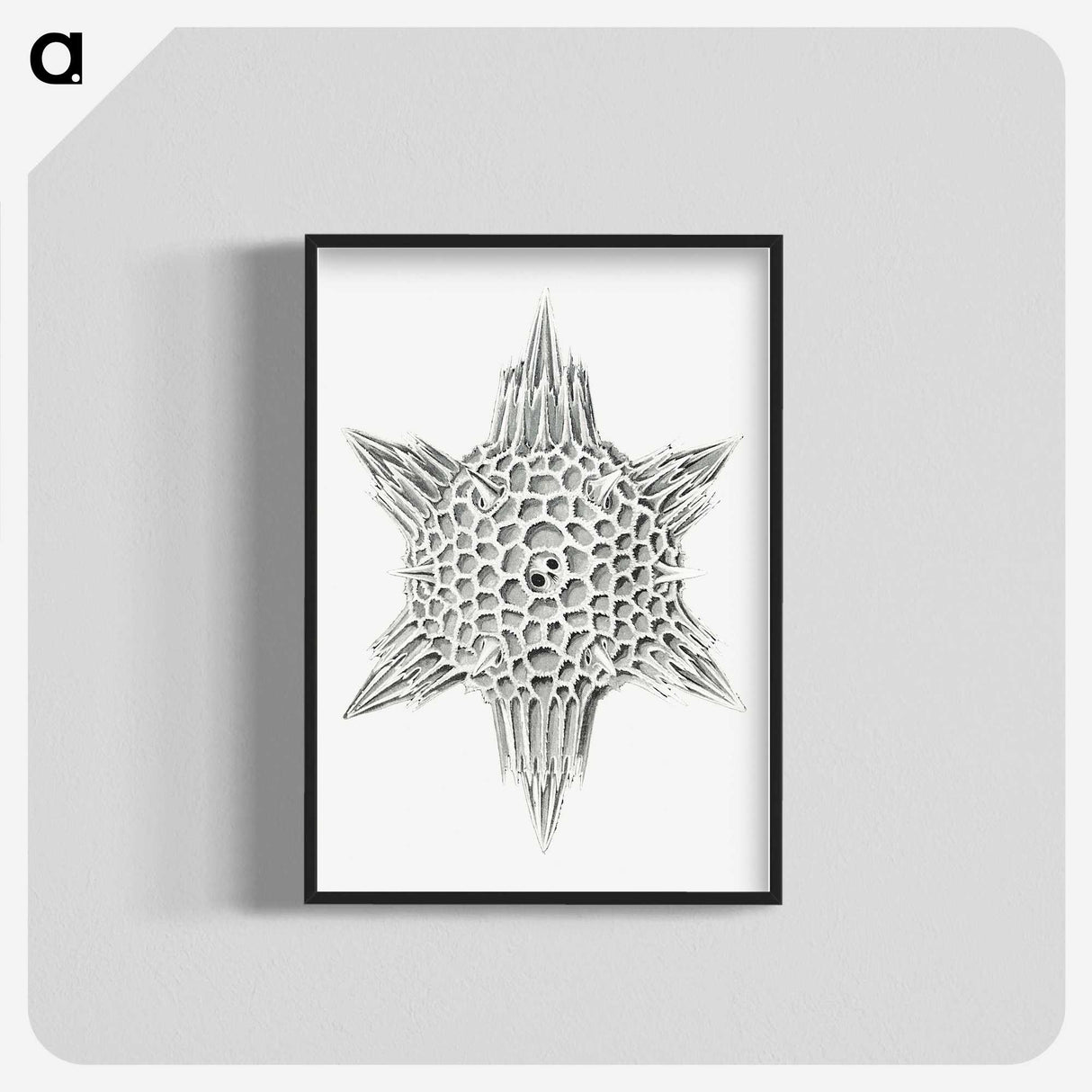 3-25_Ernst-Haeckel_blk-crop