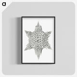 3-25_Ernst-Haeckel_blk-crop