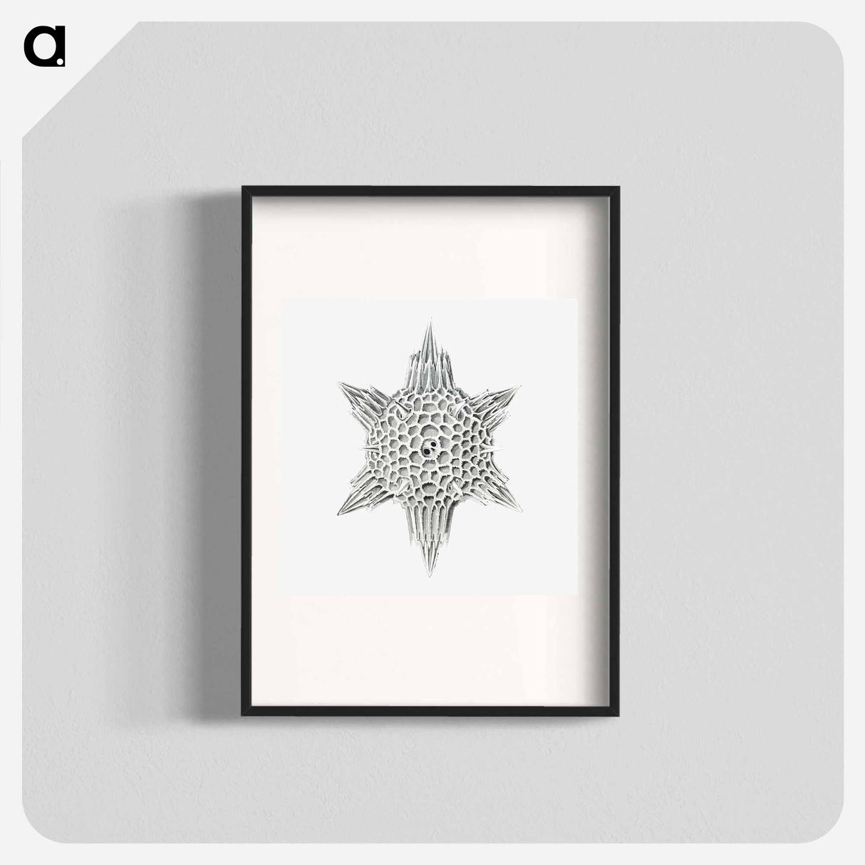 Vintage marine life illustration on white background - エルンスト ヘッケル Poster.