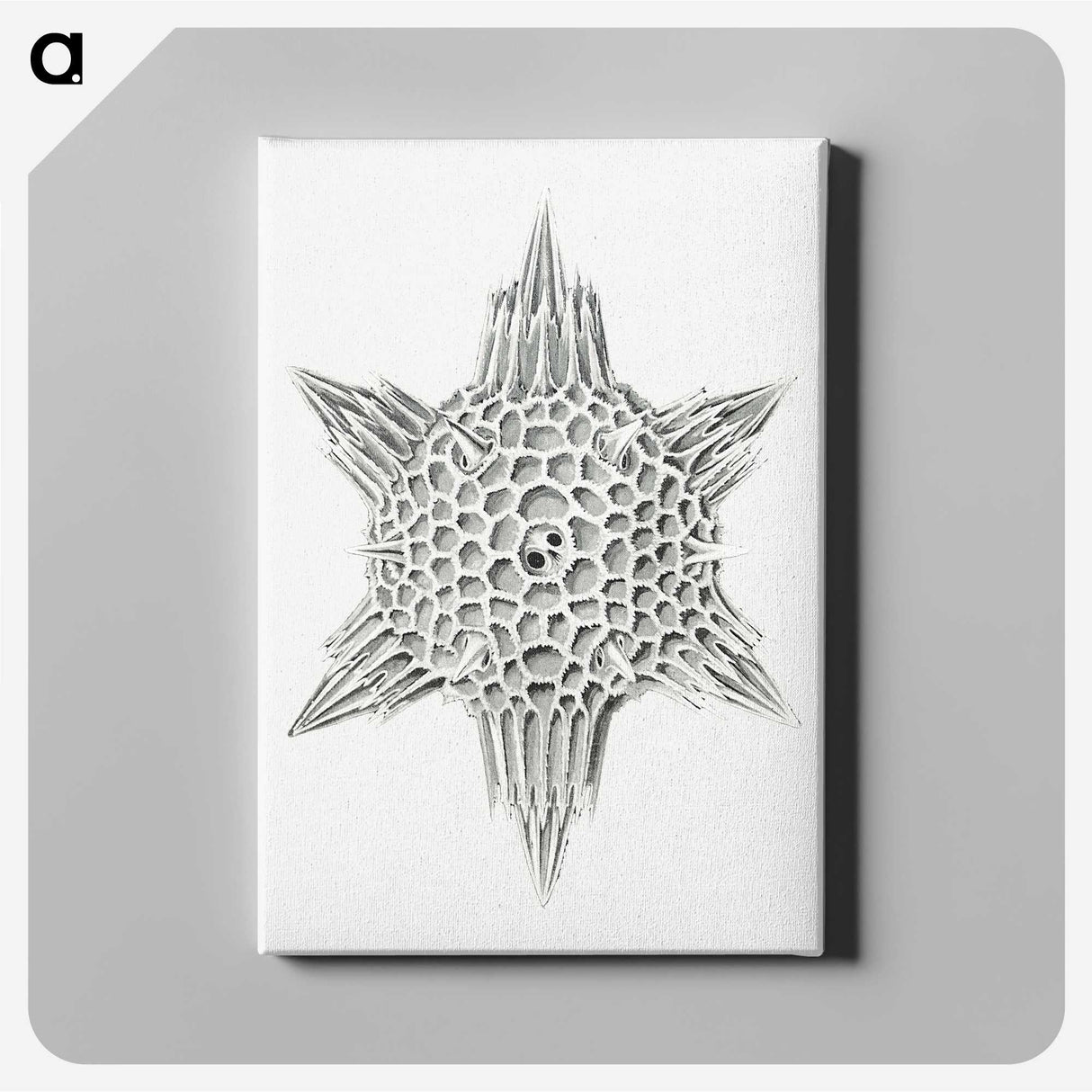 3-25_Ernst-Haeckel_canvas