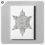 3-25_Ernst-Haeckel_canvas