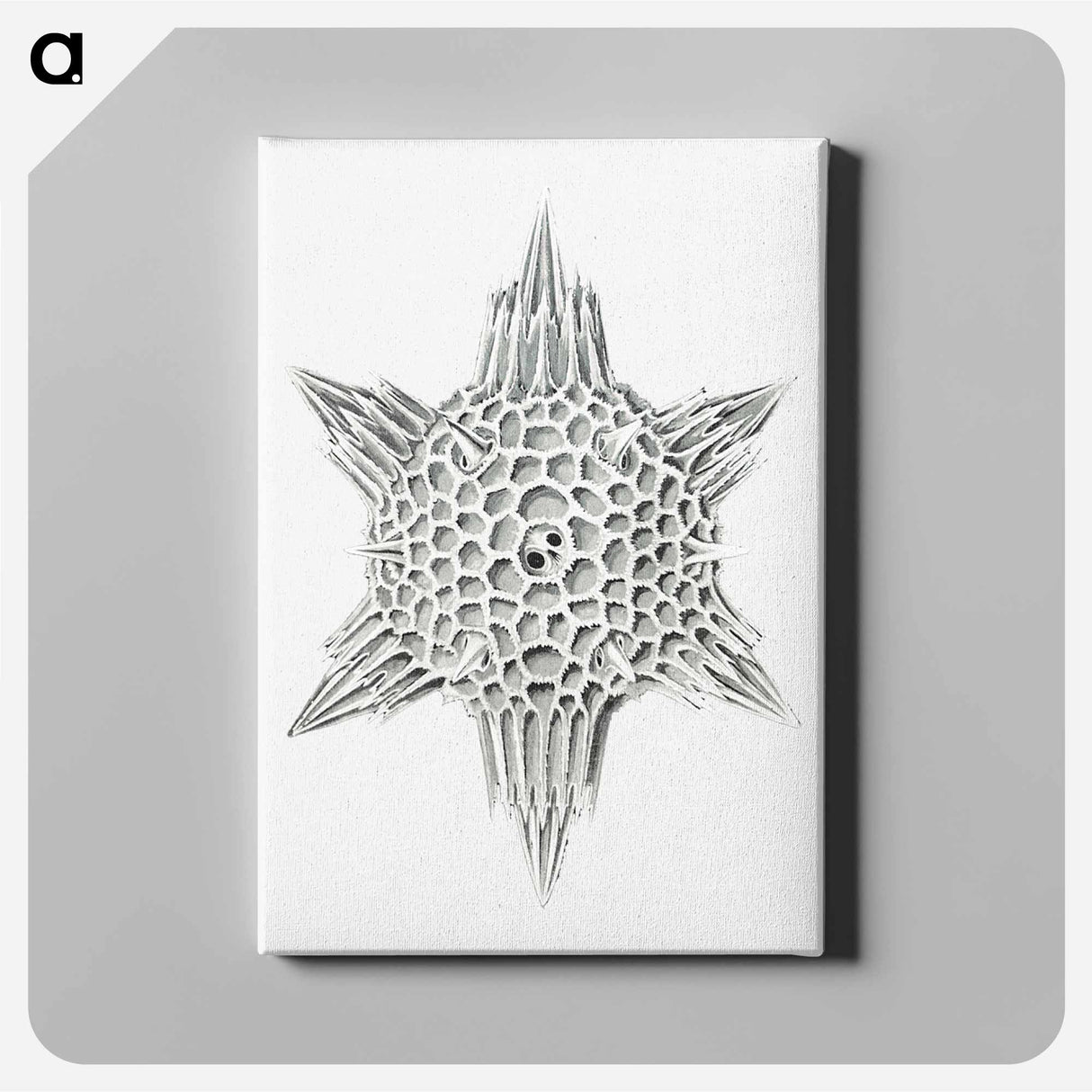Vintage marine life illustration on white background - エルンスト ヘッケル Canvas.