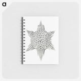 3-25_Ernst-Haeckel_memo