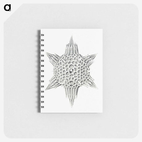 3-25_Ernst-Haeckel_memo