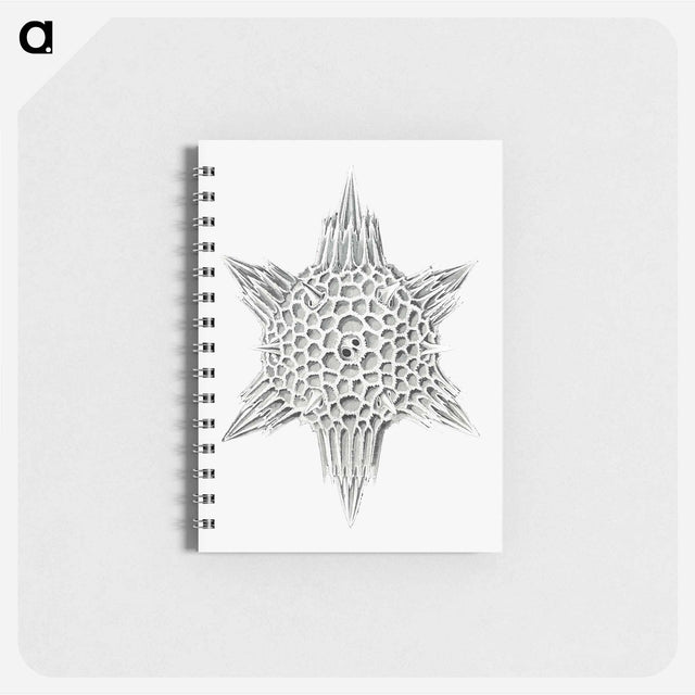 アートメモ帳-Vintage marine life illustration on white background - エルンスト ヘッケル Memo.