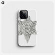 3-25_Ernst-Haeckel_phone