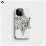 3-25_Ernst-Haeckel_phone