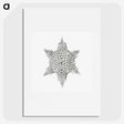 3-25_Ernst-Haeckel_picture