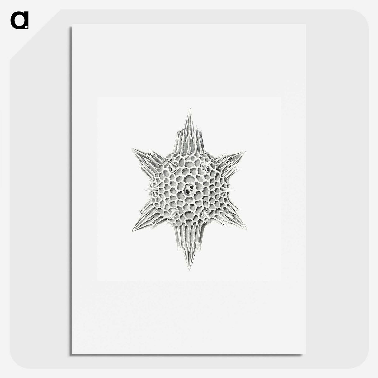 3-25_Ernst-Haeckel_picture