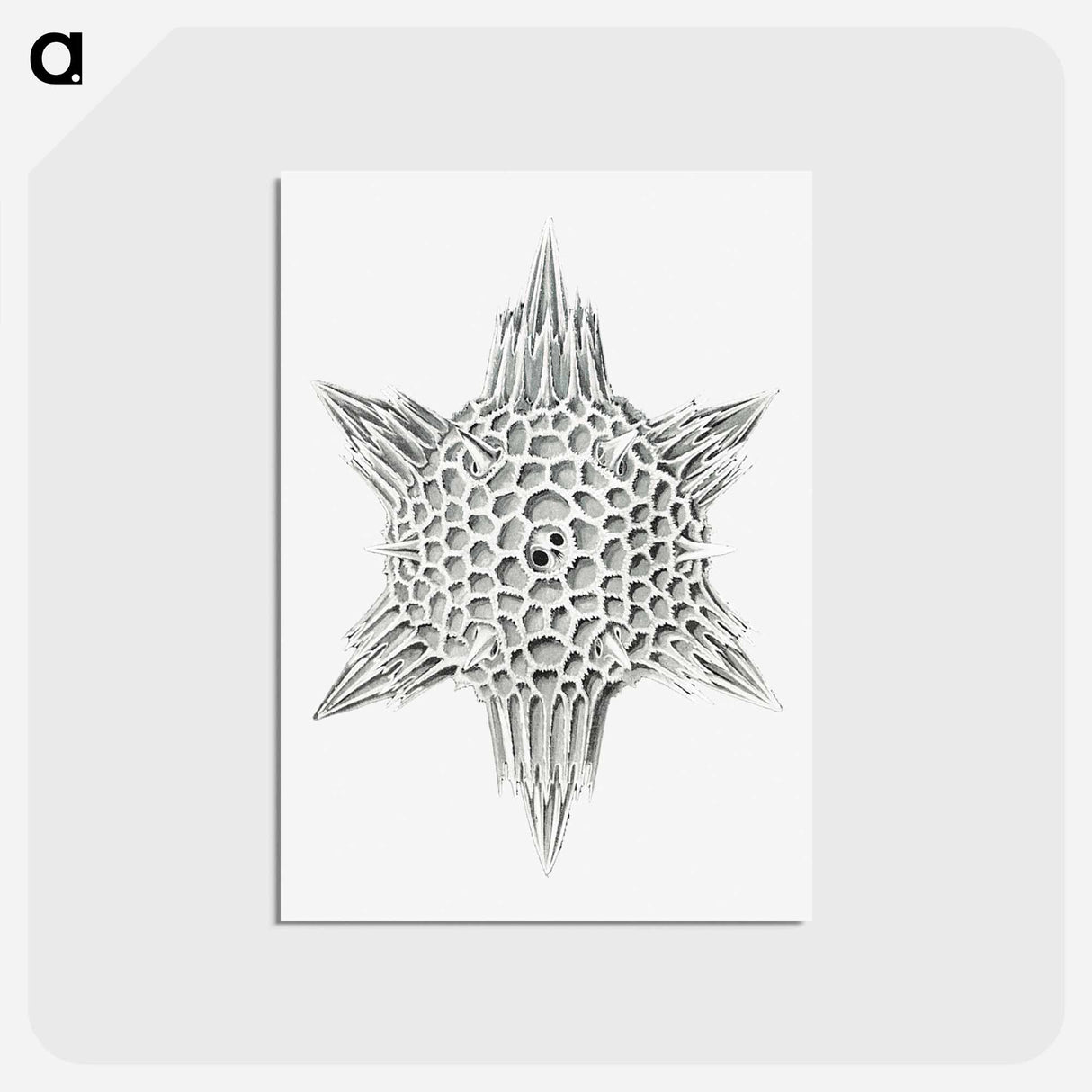 アートポストカード-Vintage marine life illustration on white background - エルンスト ヘッケル Postcard.