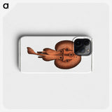 3-25_Ichtyologie-ou-Histoire-naturelle_phone