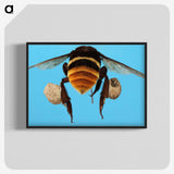3-25_Insects-Unlocked-Project_blk-crop