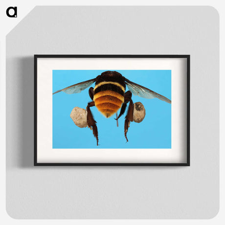 3-25_Insects-Unlocked-Project_blk