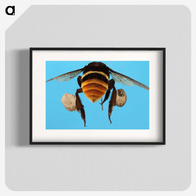 3-25_Insects-Unlocked-Project_blk