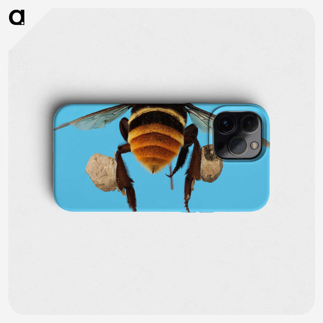 3-25_Insects-Unlocked-Project_phone