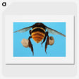 3-25_Insects-Unlocked-Project_picture