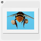 3-25_Insects-Unlocked-Project_picture