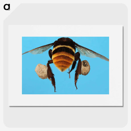 3-25_Insects-Unlocked-Project_picture