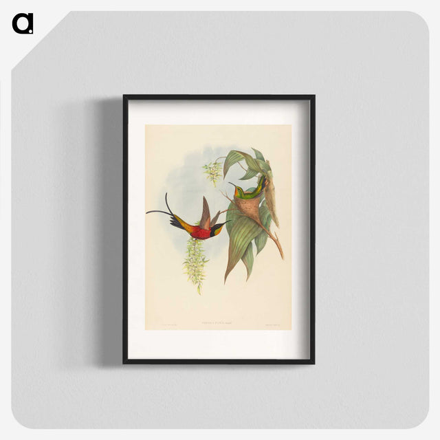 3-25_John-Gould_blk