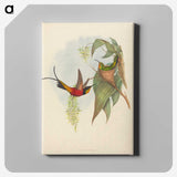 3-25_John-Gould_canvas