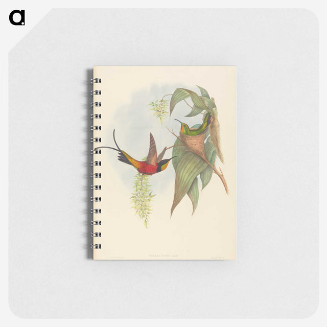 3-25_John-Gould_memo