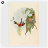 3-25_John-Gould_picture-crop