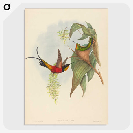 3-25_John-Gould_picture-crop
