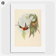 3-25_John-Gould_picture