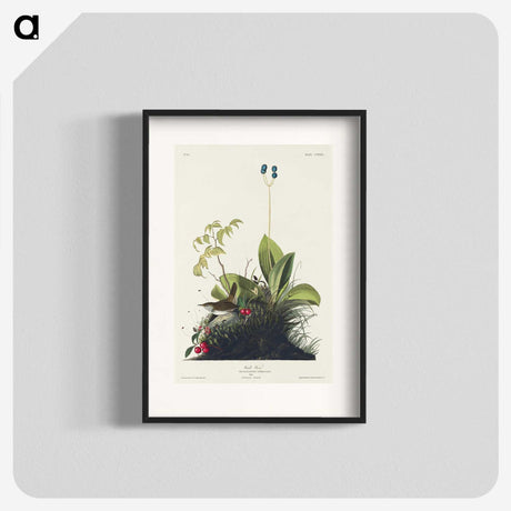 3-25_John-James-Audubon_blk