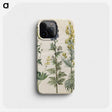 3-25_Maria-Sibylla-Merian_phone