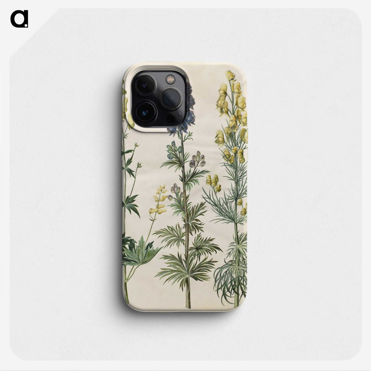 3-25_Maria-Sibylla-Merian_phone