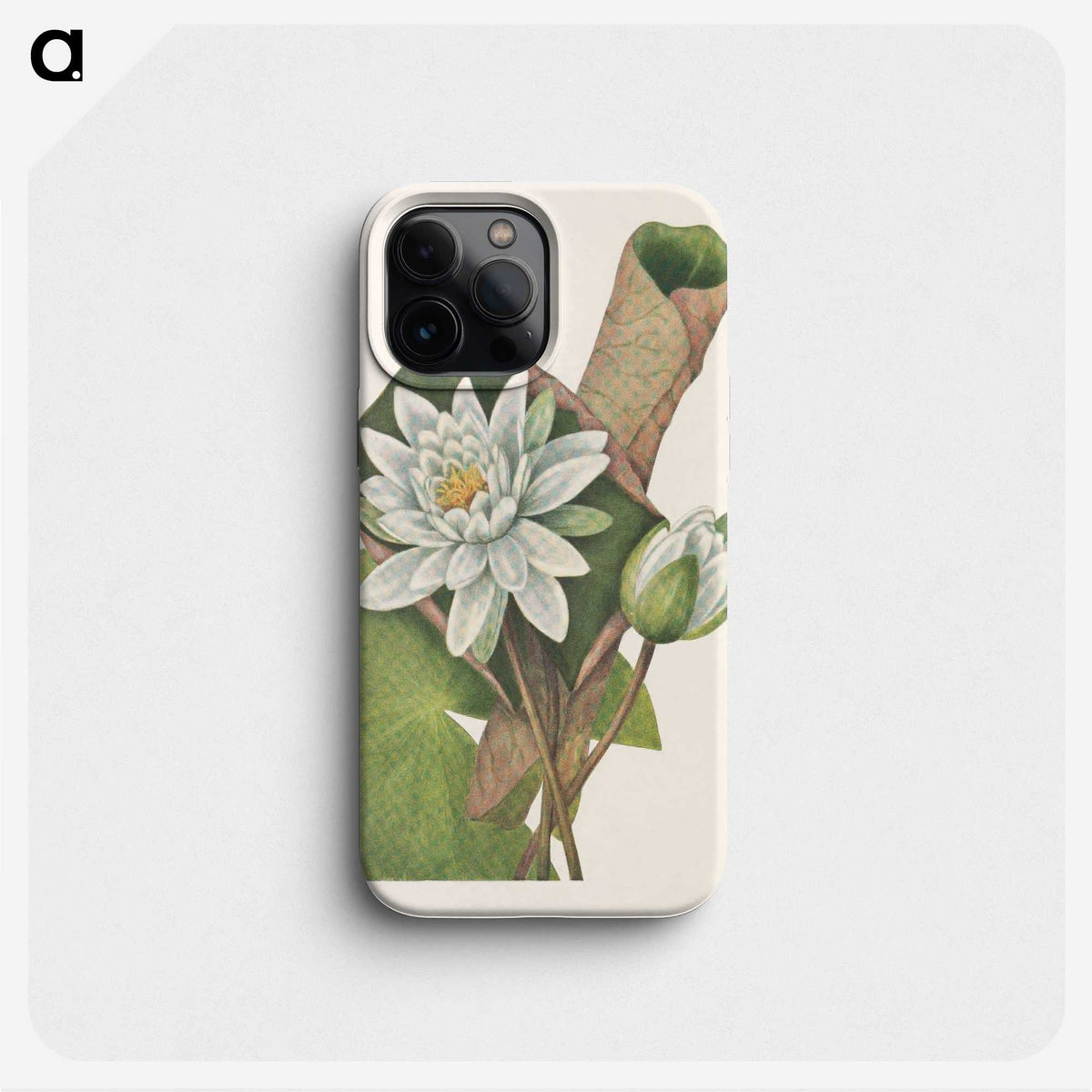 3-25_Mary-Vaux-Walcott_phone