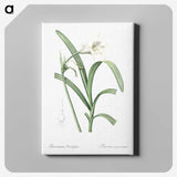 3-25_The-Lilies_canvas