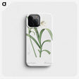 3-25_The-Lilies_phone
