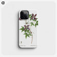 3-25_Treatise-on-Trees-and-Shrubs_phone