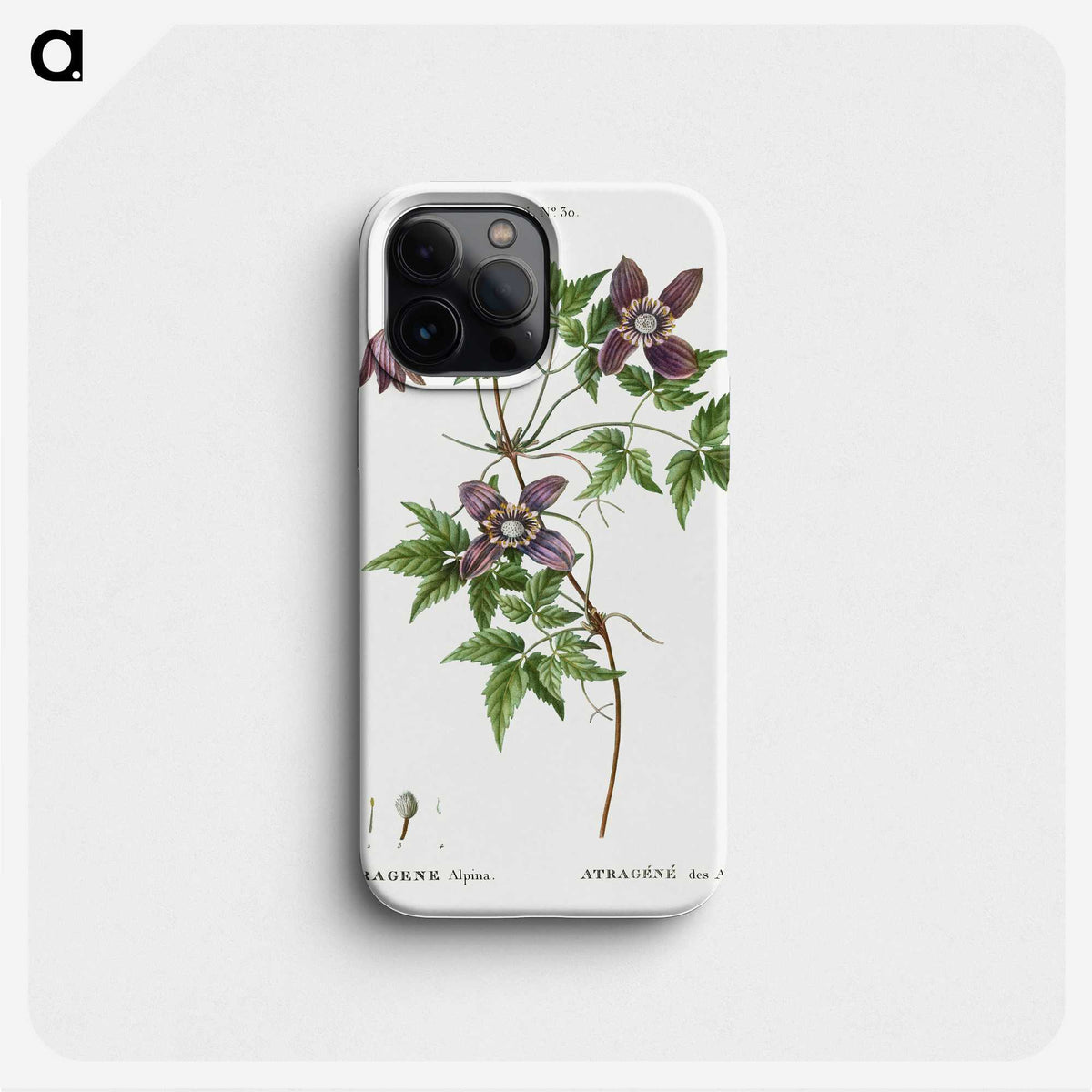 3-25_Treatise-on-Trees-and-Shrubs_phone