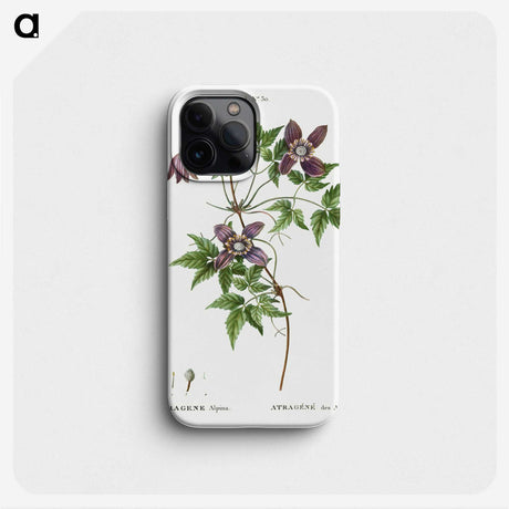 3-25_Treatise-on-Trees-and-Shrubs_phone