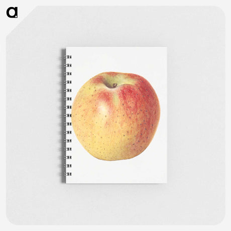3-25_USDA-Watercolor-Fruit-Painting-Collection_memo