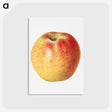 3-25_USDA-Watercolor-Fruit-Painting-Collection_postcard