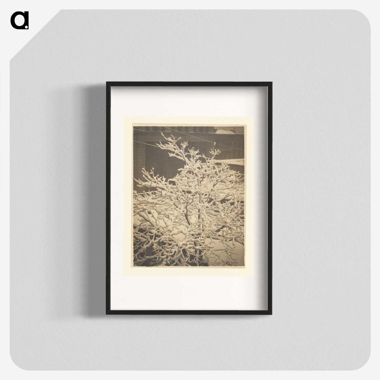 3-26_Alfred-Stieglitz_blk