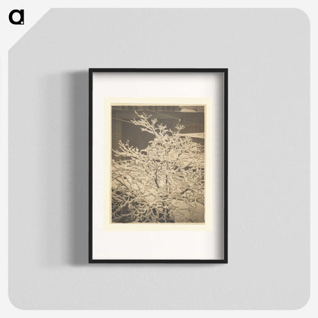 3-26_Alfred-Stieglitz_blk
