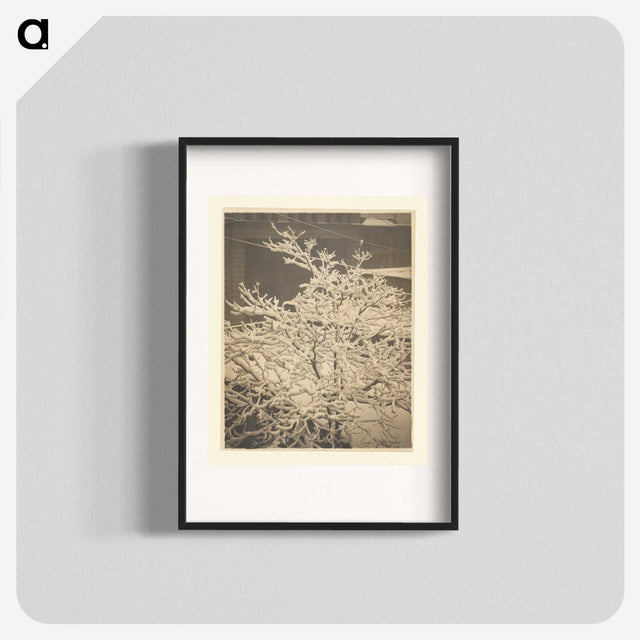 3-26_Alfred-Stieglitz_blk