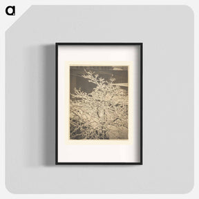 アートポスター-From the Back Window of 291 - アルフレッド スティーグリッツ Poster.