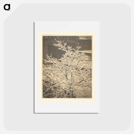 アートポストカード-From the Back Window of 291 - アルフレッド スティーグリッツ Postcard.