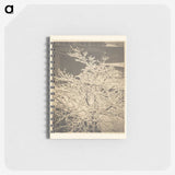 3-26_Alfred-Stieglitz_memo