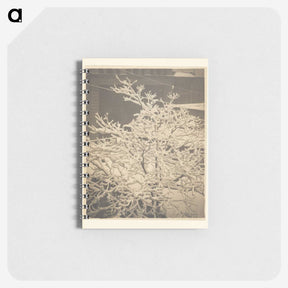 3-26_Alfred-Stieglitz_memo